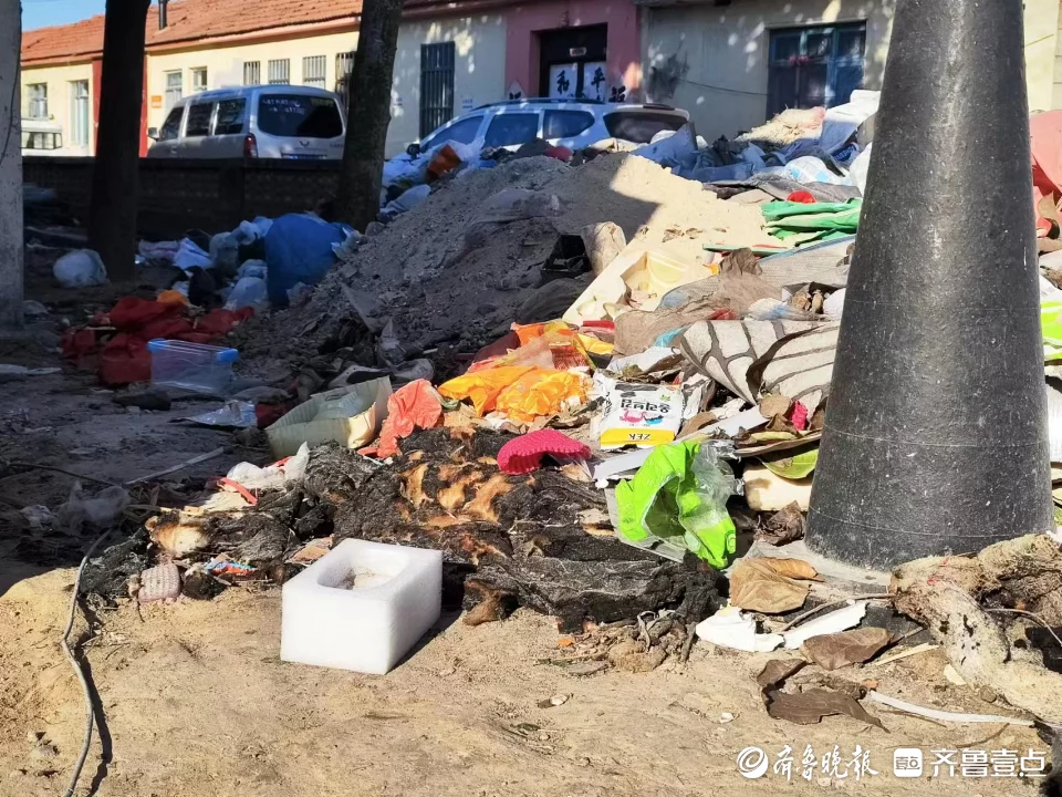 垃圾房（花壇變垃圾堆頻頻起火！相關(guān)負(fù)責(zé)人：將盡快清理并尋求長決方案）清理花壇垃圾的方法，清理花壇垃圾簡報，(圖2)