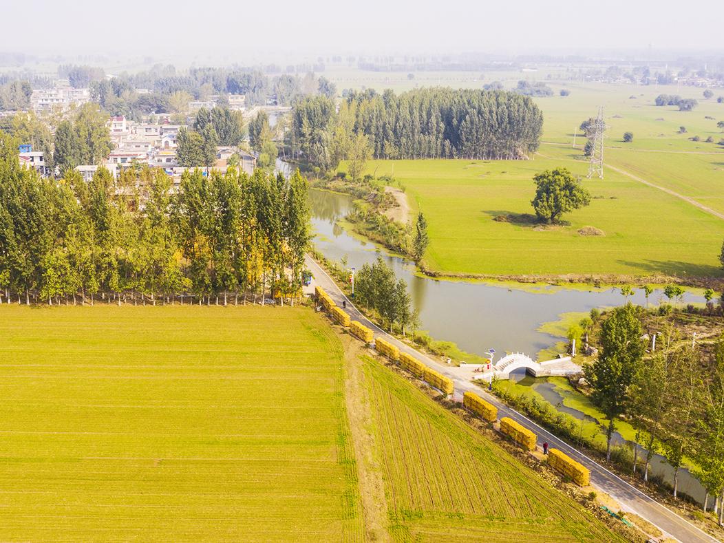 薛城區(qū)常莊村將成為鐵西新區(qū)（薛城區(qū)常莊村單莊村拆遷）薛城區(qū)常莊街道城鄉(xiāng)面貌日新月異“顏值高”，(圖3)